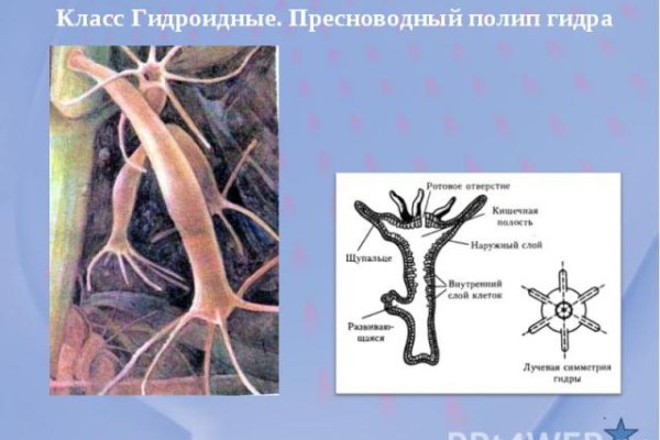 Сайты наркоты