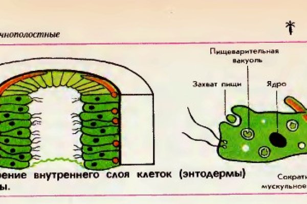 Кракен запрещен