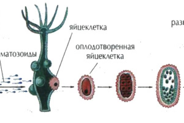 Кракен тор