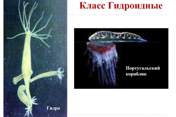Кракен меф